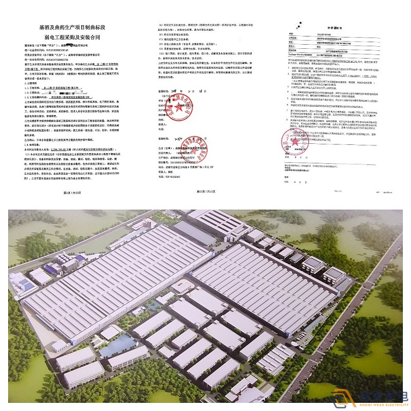 成都水井坊IT安防工程-007科技解决方案