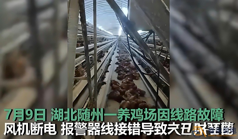 养鸡场为什么要24h监测温湿度断电报警器？